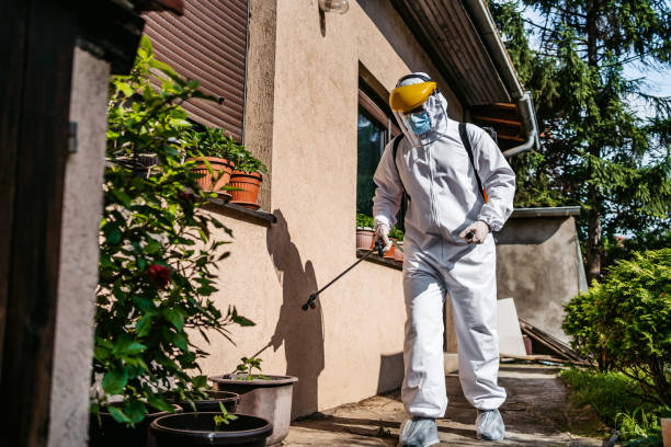 Best Pest Prevention Services  in Smithville Sanders, IN