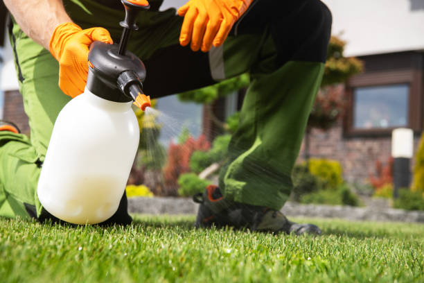 Best Insect Control  in Smithville Sanders, IN