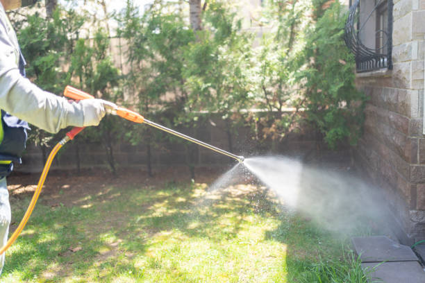 Wasp Removal Services in Smithville Sanders, IN