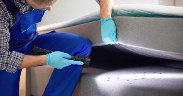 Best Pest Removal Services  in Smithville Sanders, IN