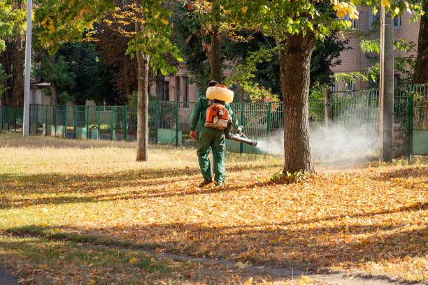 Best Emergency Pest Control  in Smithville Sanders, IN