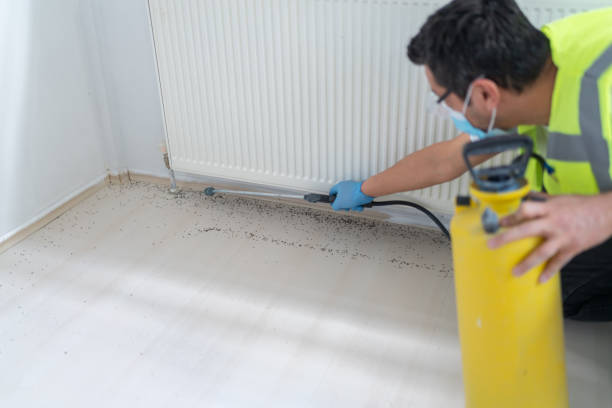 Best Flea Control Services  in Smithville Sanders, IN